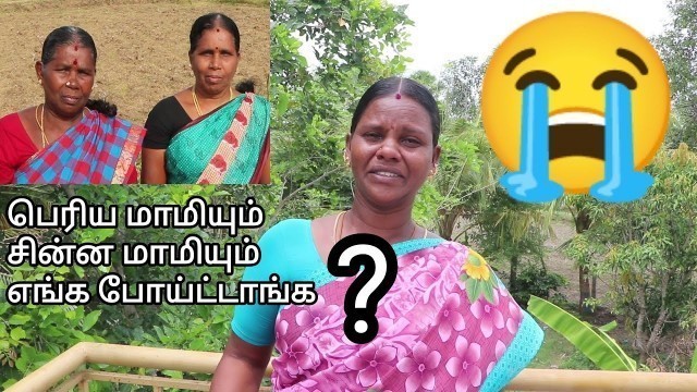 'பெரிய மாமிக்கு என்னாச்சு  எங்கே போய்ட்டாங்க என்ற கேள்விக்கு இதோ பதில்'