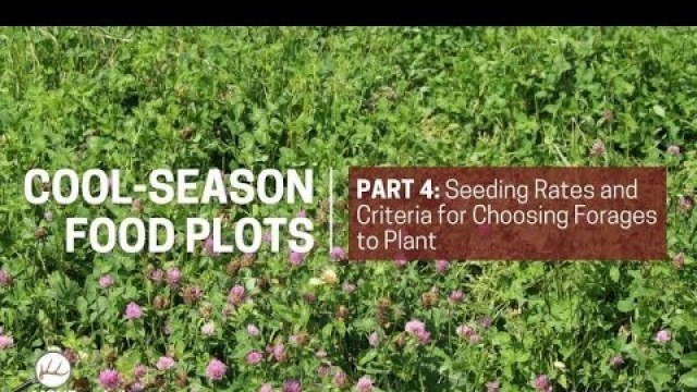 'Cool Season Food Plots Part4'