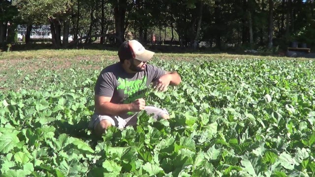 'SUCCESS!! 2016 FOOD PLOTS'