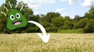 'Green Manure = Lush Food Plots'