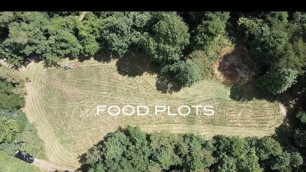 'Attracting Big Bucks with Food Plots - What to plant and how we hunt them'