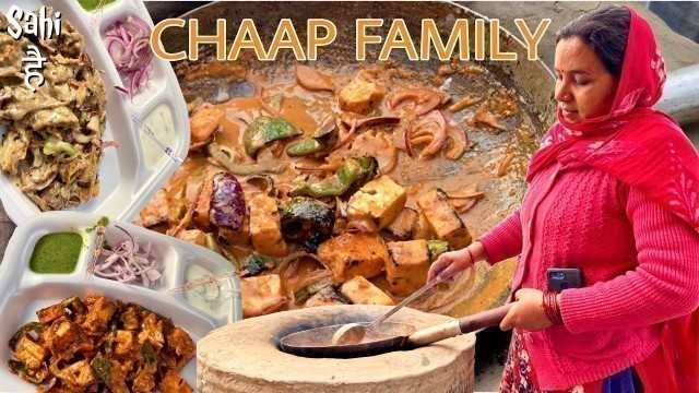 'This Was The BEST SOYA CHAAP Experience | Street Food India Ludhiana | Malai Paneer Tikka'
