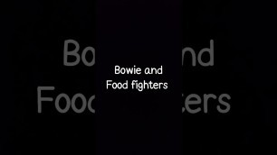 'pazzeschissimi !!! pezzo incredibile ! Bowie and that food fighter'