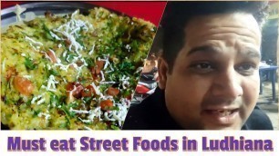 'Kaisa hai Ludhiana ka street food | must visit Street Food places in Ludhiana | @AkkunRishuvogs'