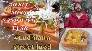 'Ludhiana Street Food  Best Street Food Sandwich'