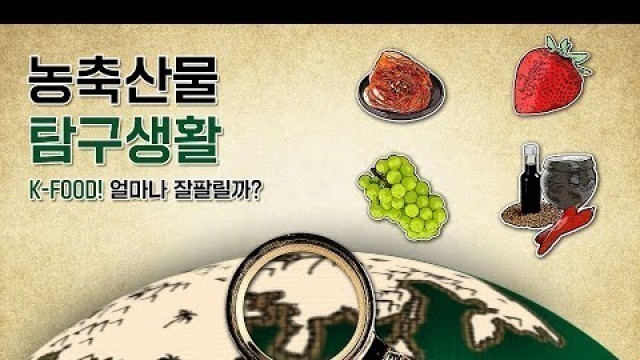 'K-FOOD, 얼마나 잘팔릴까? | 농축산물 탐구생활'