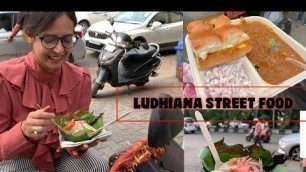 'Ludhiana Best Street Food | Street Food | Street Food India | Famous food | #foodieshome #ludhiana'