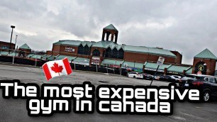 'Gyms in canada 