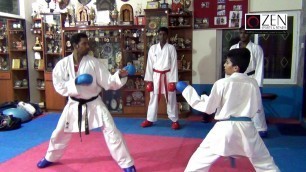 'Ushiro Mawashi Geri - MG Prasad, Zen Sports'