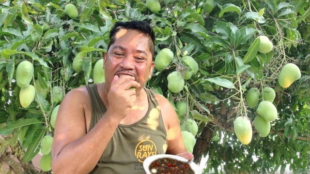 'PITAS AT PANGAS \"MANGGA AT BAGOONG\" MUKBANG!!! Filipino Food. Buhay probinsya! Pilipinas!'