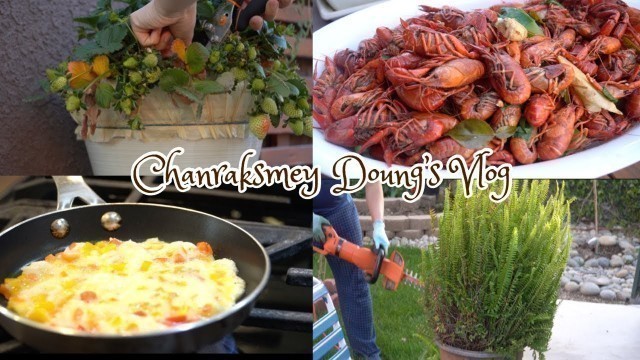 'SUB) Try A New Breakfast Recipe | Enjoy My Favorite Food | Back Yard Working |'