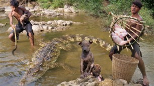 'Survival In The Rainforest - Find Food Meet Crocodile Rescue Baby Dogs'