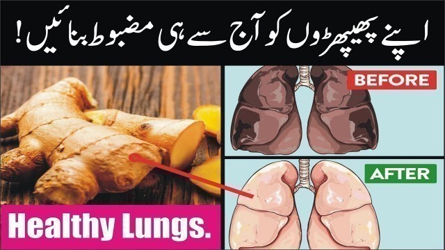 'Lungs Detox and Cleanse Tips | Best Foods For Healthy Lungs'