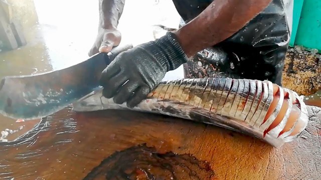 'Perfect Seer Fish Slicing | Fishing Life Sri Lanka'