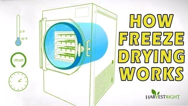 'How Freeze Drying Works'