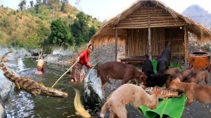 'Woman finding food meet crocodile and big fish -Grilled big fish for dog -cooking in forest'