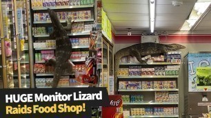 'HUGE monitor lizard raids supermarket in search of food'