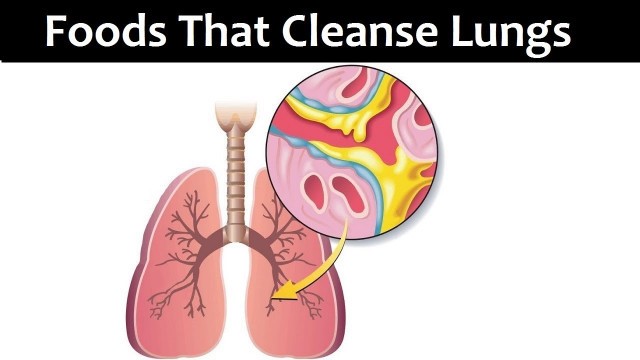 '7 Foods That Are Good For Your Lungs'