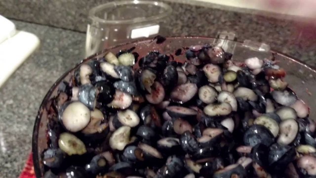 'Fast Easy Way to Slice Blueberries Fruit for Dehydrating or Freeze Drying in a Home Freeze Dryer'