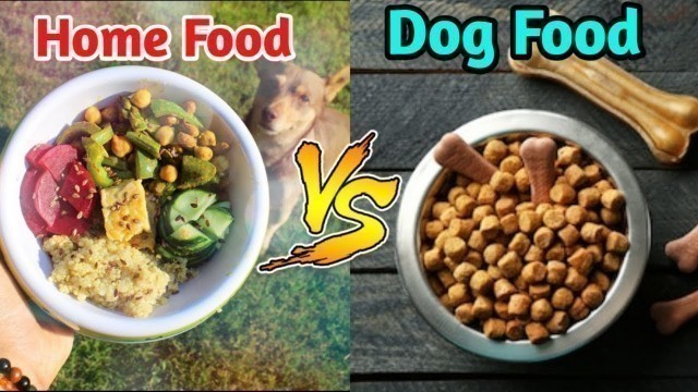 'HOMEMADE DOG FOOD VS DOG FOOD / IN HINDI/ कोन सा Food Better he homemade dog food or Dog food'