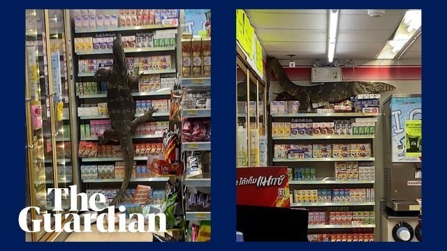 'Giant lizard climbs shelves of Thai supermarket in search of food'