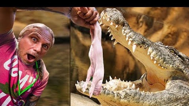 'FEEDING A 15 FOOT GIANT CROCODILE A PIG!! | BRIAN BARCZYK'