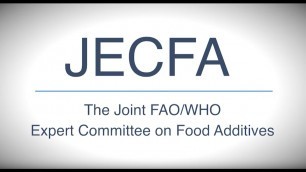 'JECFA. Evaluating the safety of food additives.'