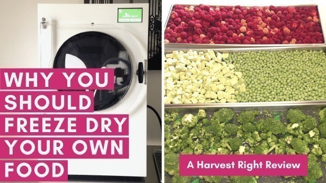 'Why You Should Freeze Dry Your Own Food - A Harvest Right Freeze Dryer Review'