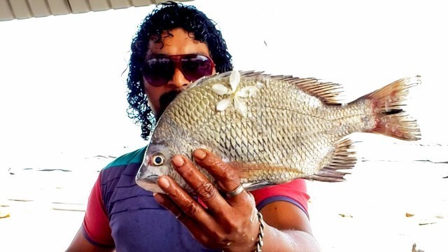 'Rabbitfish Cutting | Fish Cutting Skills Sri Lanka | Made In Sri Lanka'