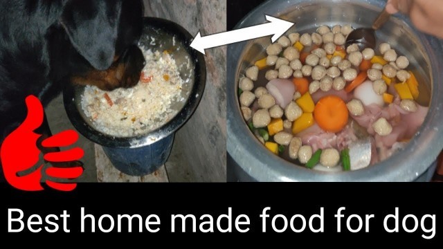 'BEST HOME MADE FOOD FOR DOG IN CHEAP PRICE|IN HINDI.'