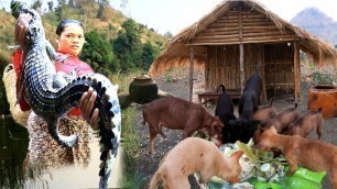 'Woman finding food meet crocodile bite chicken -Soup chicken for food dog -cooking in forest'