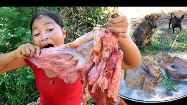 'survival in forest - woman Cooking Pork lungs Food for dog -  Pork lungs recipe & Cooking life TV'