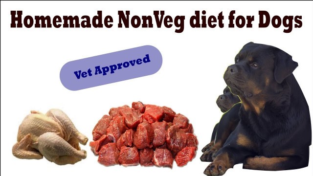 'Homemade Non Veg Diet Plan for Dogs/Puppy( in Hindi )'