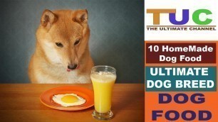 '10 Homemade Dog Food In Hindi | Dog Facts | Popular Dogs | The Ultimate Channel'