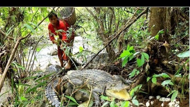 'woman looking for food met crocodile & egg for cook- Egg for dog and cat food- cooking in forest HD'