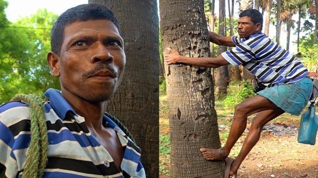 'DANGEROUS SRI LANKAN FOOD!! Toddy Tapper RISKS LIFE for Drink + Street Food in Sri Lanka!'