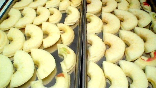 'Mini taste test: PEARS and APPLES in a Harvest Right Home Freeze Dryer.'