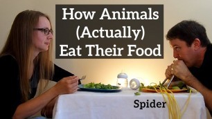 'How Animals (Actually) Eat Their Food'