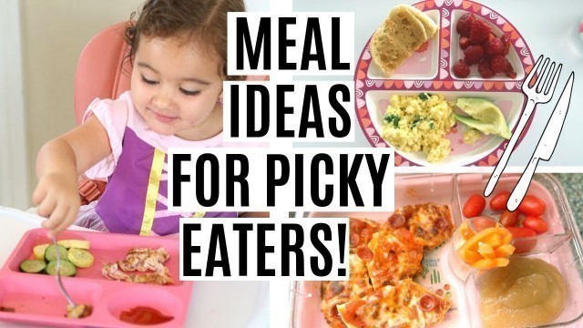 'WHAT MY TODDLER EATS IN A DAY | TODDLER MEAL IDEAS FOR PICKY EATERS!'