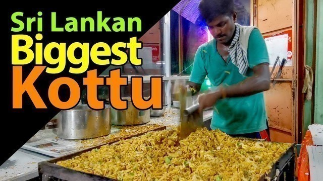 'Street Food in Sri Lanka | Biggest Kottu Ever |'