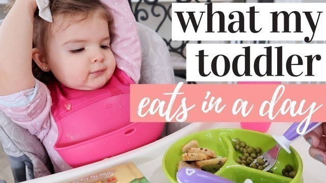 'WHAT MY 2 YEAR OLD EATS IN A DAY 2020 | GETTING MY PICKY TODDLER TO EAT'