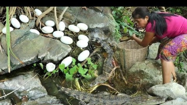 'Nature Food ln the forest - woman Grab a crocodile - Cook eggs for dog eat'