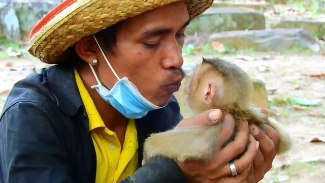 'THANKS MR LIN HE FEEDS AND SHARED FOOD TO MANY MONKEYS, HE CARED SAVANA AND KIND REAL HEART'