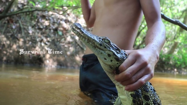 'Primitive Technology: Catch Crocodile in river - Cooking crocodile for food eating delicious'