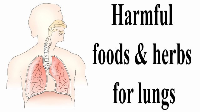 'Harmful foods & herbs for lungs | Foods that should be avoided during cough | Lung debilitating herb'