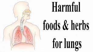 'Harmful foods & herbs for lungs | Foods that should be avoided during cough | Lung debilitating herb'