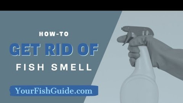 'How To Get Rid Of Fish Smell In YOUR Kitchen ~ 12 Ways of Getting Rid of Fishy Smell'