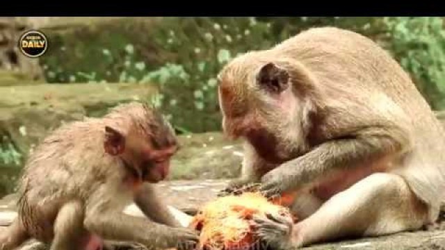 'Mum Not Shared Food to Baby/ Mum Hits Baby/Mum Not Want to See Baby Anymore  Angkor daily 1121'