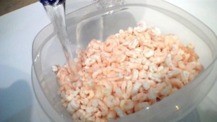 'Freeze Dried Shrimp Salad! Bay Shrimp in a Harvest Right home Freeze Dryer.'