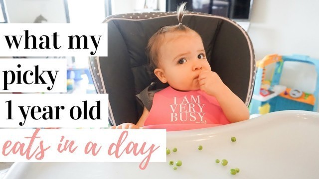 'WHAT MY 1 YEAR OLD EATS IN A DAY | Getting my picky 13 month old  to eat solids!'